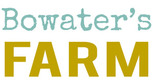 Store Logo