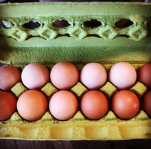 Load image into Gallery viewer, Pasture Raised Chicken Eggs (SOY FREE)
