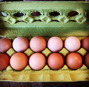 Pasture Raised Chicken Eggs (SOY FREE)